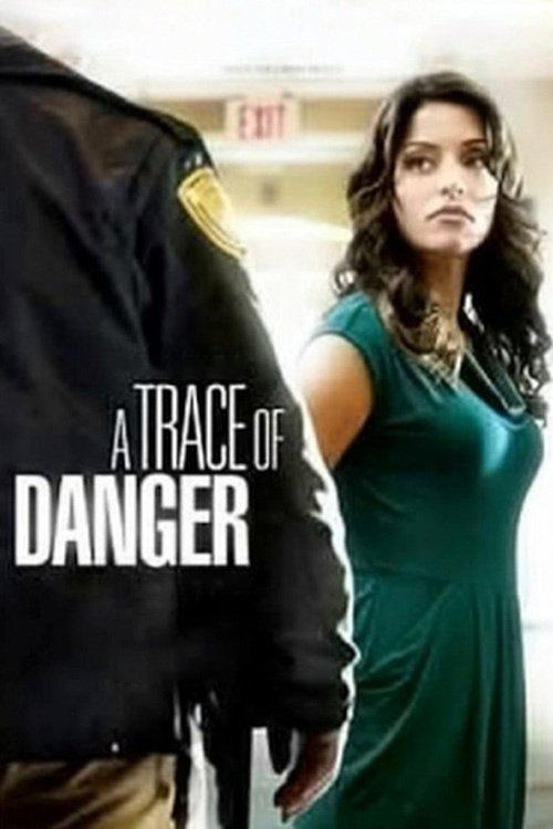 A Trace of Danger 2010 official movie poster