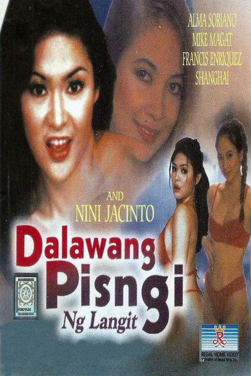 Dalawang Pisngi ng Langit 2001 official movie poster