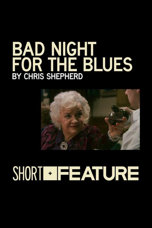 Bad Night for the Blues 2010 official movie poster