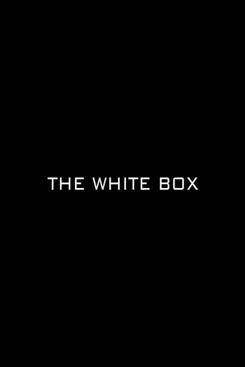 The White Box 2011 official movie poster