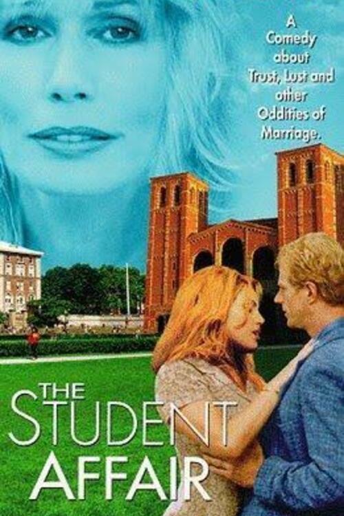 The Lay of the Land 1997 official movie poster