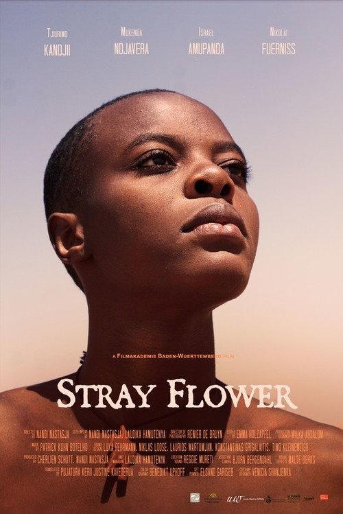 Stray Flower 2022 official movie poster
