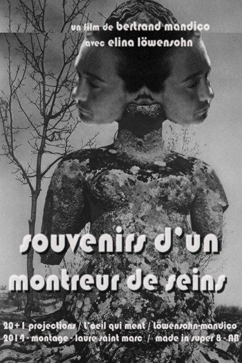 Memories of a Boobs Flasher 2014 official movie poster
