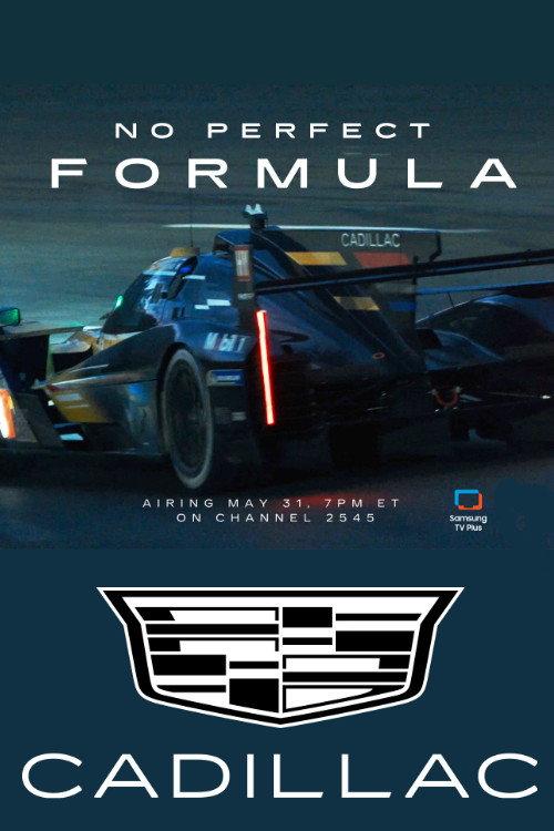 No Perfect Formula 2024 official movie poster