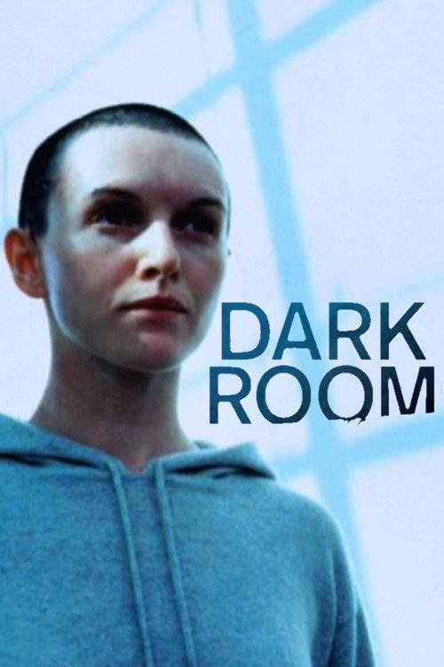 The Dark Room 1999 official movie poster