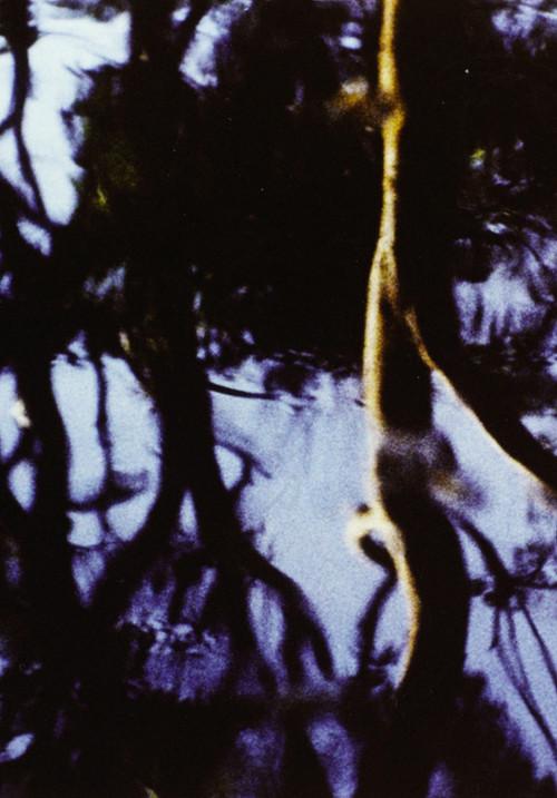 Corporeal 1983 official movie poster