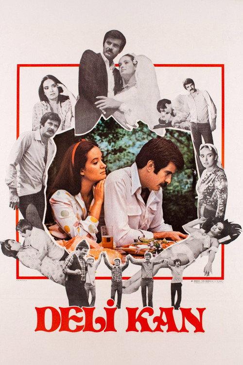 Deli Kan 1981 official movie poster