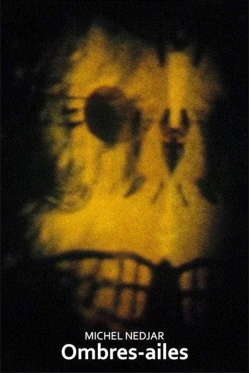 Ombres-ailes 1980 official movie poster