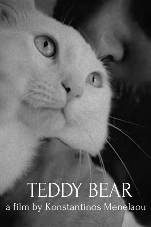 Teddy Bear 2023 official movie poster