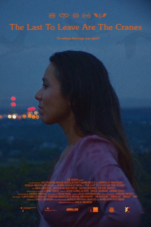 The Last to Leave Are the Cranes 2020 official movie poster