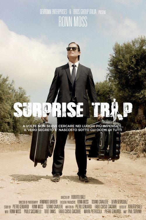 Viaggio a sorpresa 2022 official movie poster