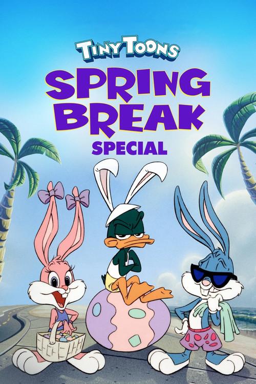 Tiny Toon Spring Break 1994 official movie poster