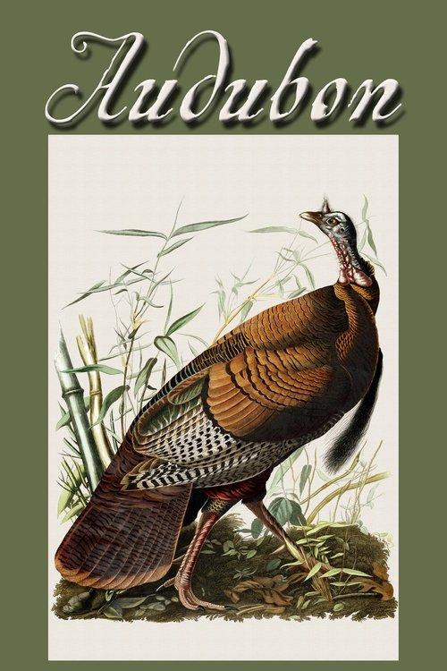 Audubon 2017 official movie poster