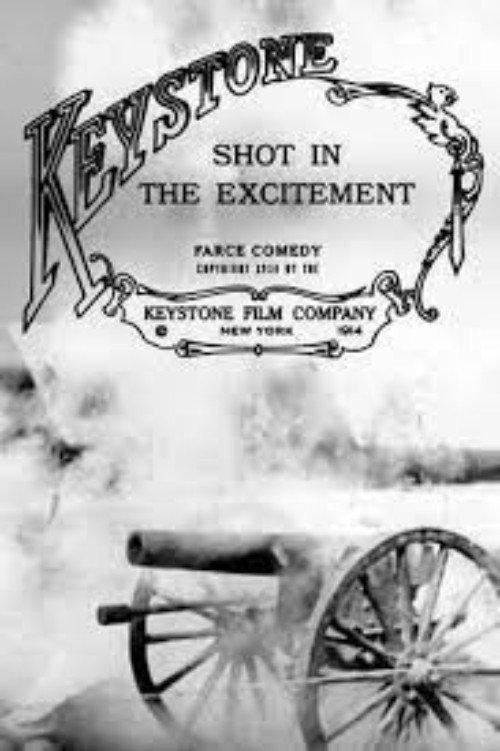 Shot in the Excitement 1914 official movie poster
