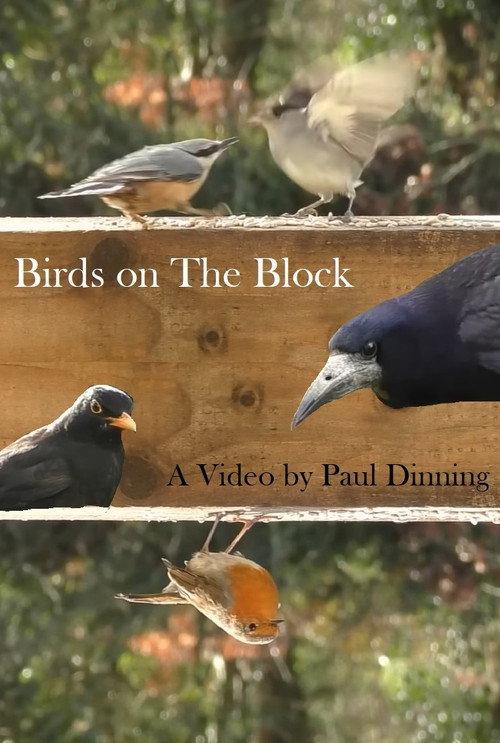 Birds on The Block 2023 official movie poster