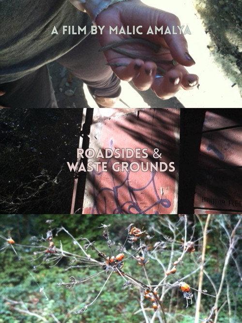Roadsides and Waste Grounds 2012 official movie poster