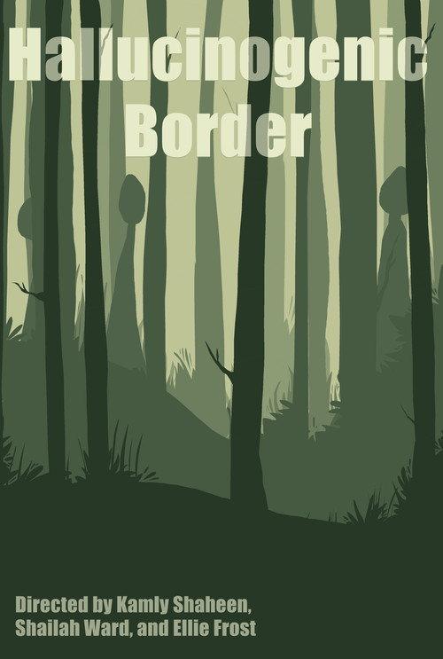 Hallucinogenic Border 2023 official movie poster