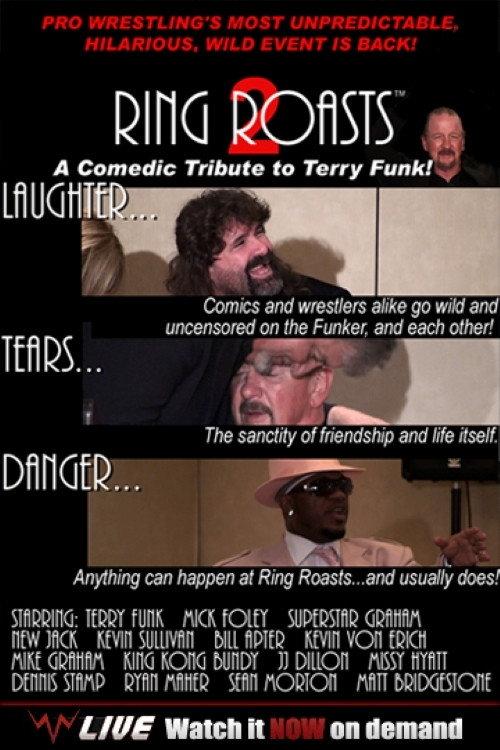 Ring Roasts II: A Comical Tribute to Terry Funk 2009 official movie poster