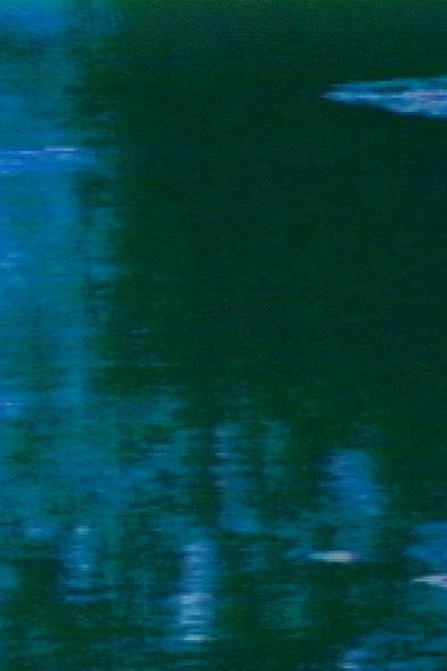 Monet Garden Synthesized 1989 official movie poster