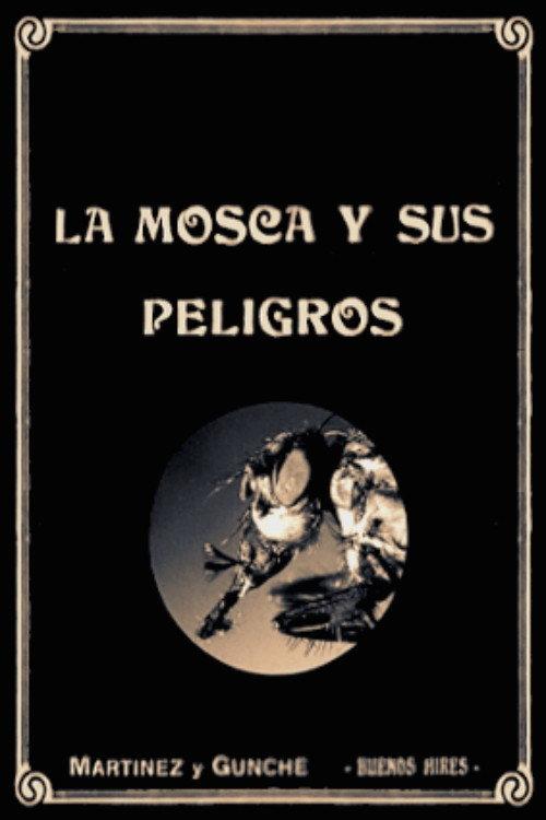 The Dangers of the Fly 1920 official movie poster