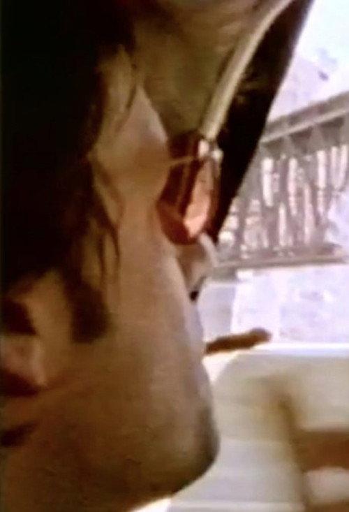 Seeing Through Paul 1999 official movie poster