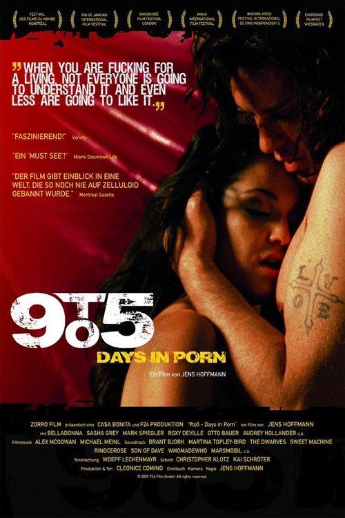 9to5: Days in Porn 2008 official movie poster