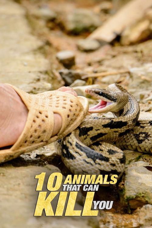 10 Animals That Will Kill You 2021 official movie poster