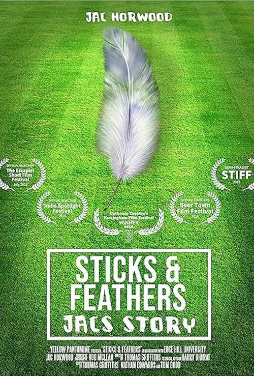 Sticks and Feathers  official movie poster