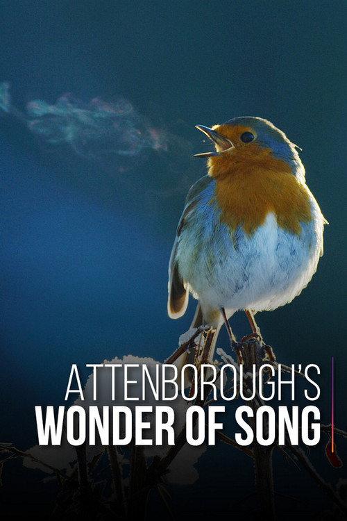 Attenborough's Wonder of Song 2022 official movie poster
