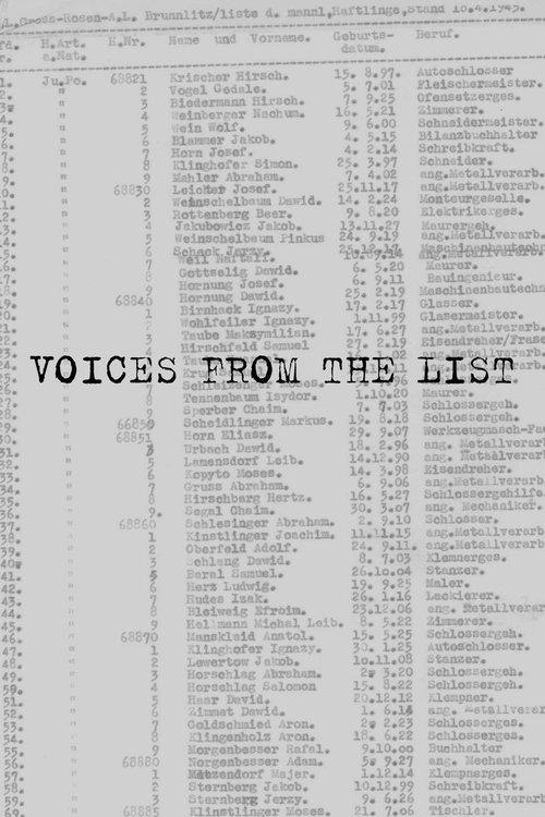 Voices from the List 2004 official movie poster