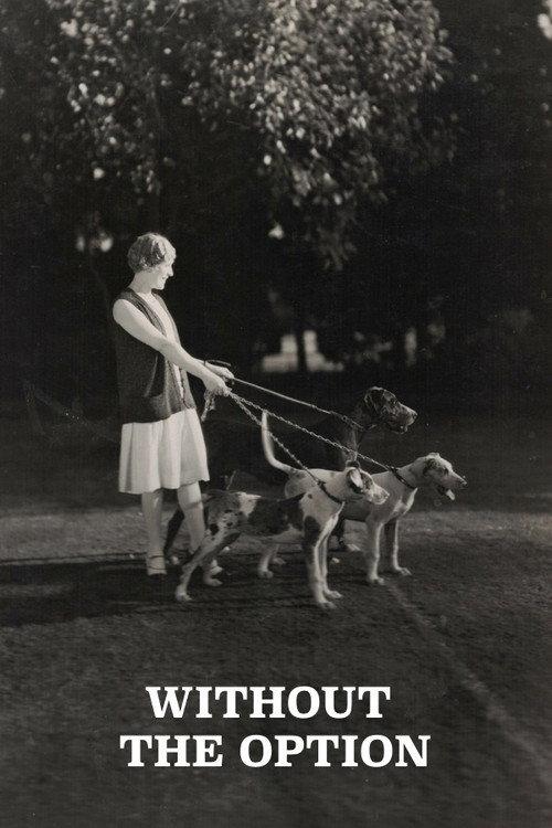 Without the Option 1926 official movie poster