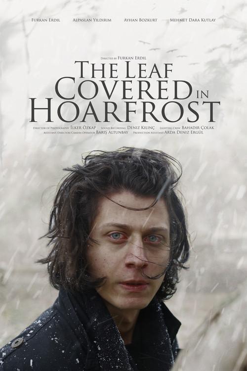 The Leaf Covered in Hoarfrost 2026 official movie poster