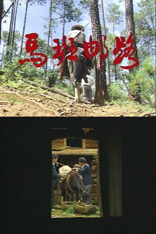 Pony Express 1995 official movie poster