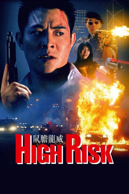 High Risk 1995 official movie poster