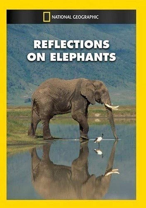 Reflections on Elephants 1994 official movie poster