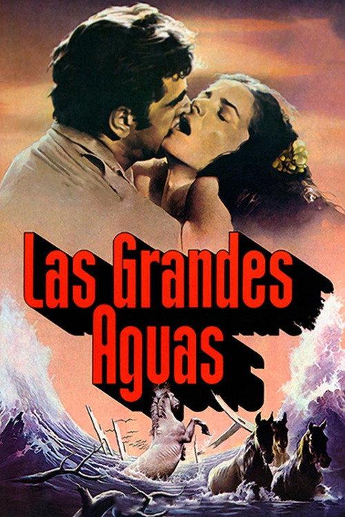 Las grandes aguas 1980 official movie poster