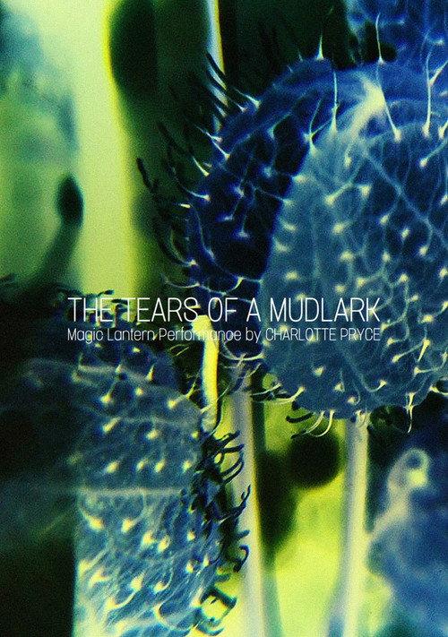 The Tears of a Mudlark 2018 official movie poster
