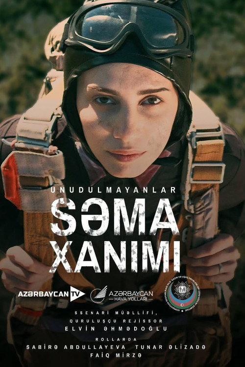 Lady of the Sky 2025 official movie poster