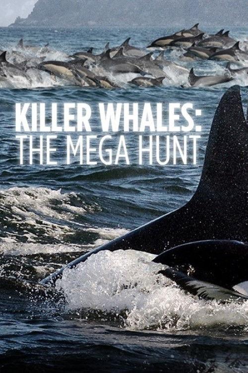Killer Whales: the Mega Hunt 2016 official movie poster
