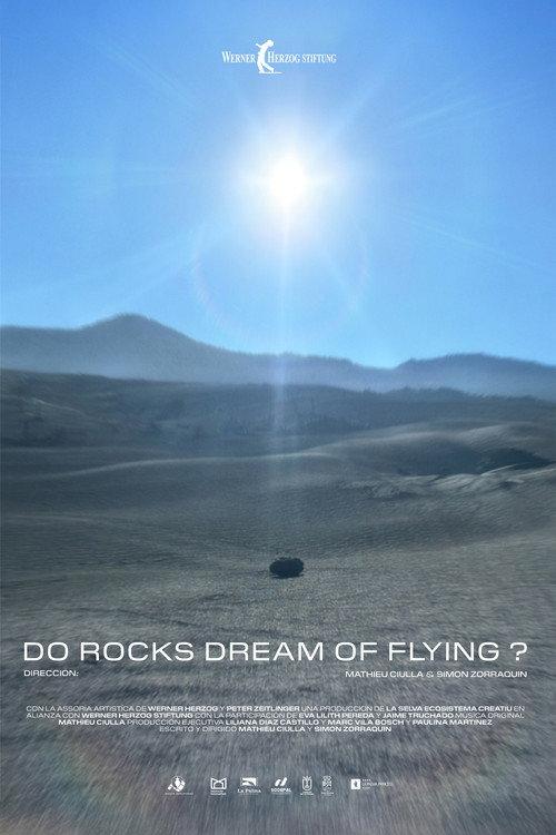Do Rocks Dream of Flying ? 2025 official movie poster