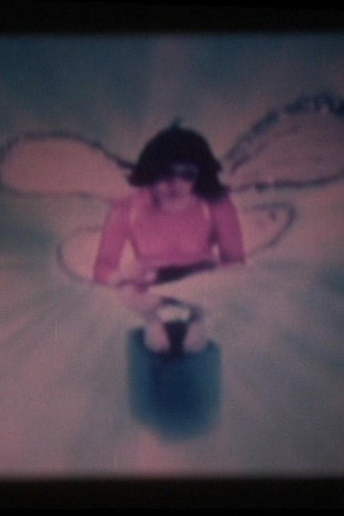 Pink Fairy 2007 official movie poster