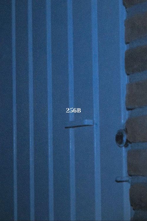 256B 2024 official movie poster