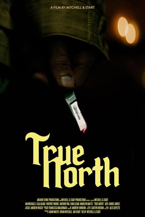 True North 2021 official movie poster