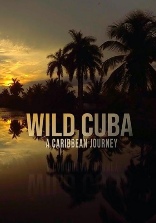 Wild Cuba: A Caribbean Journey 2020 official movie poster