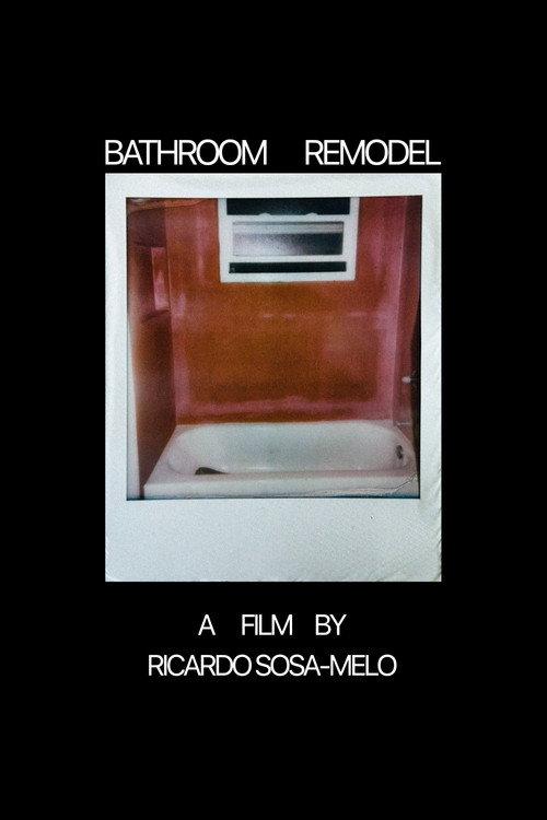 Bathroom Remodel 2026 official movie poster