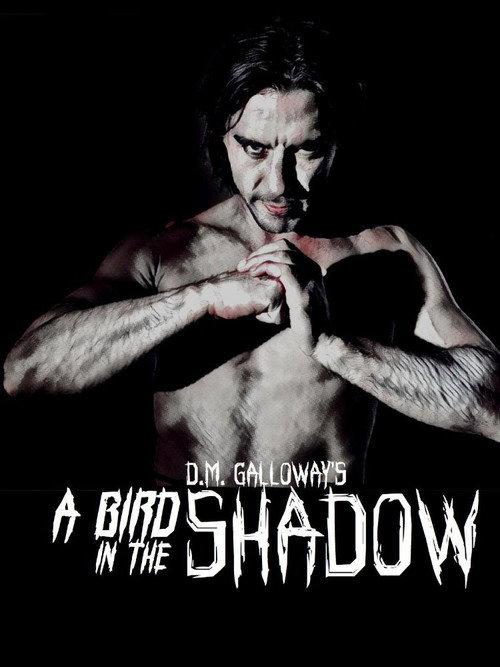 A Bird In The Shadow 2017 official movie poster