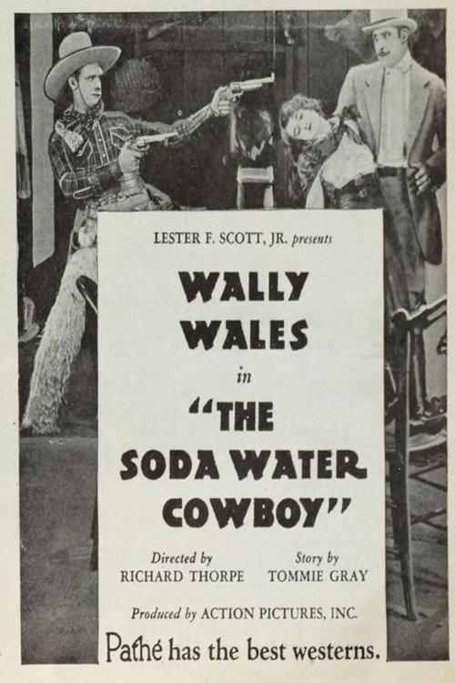 The Soda Water Cowboy 1927 official movie poster