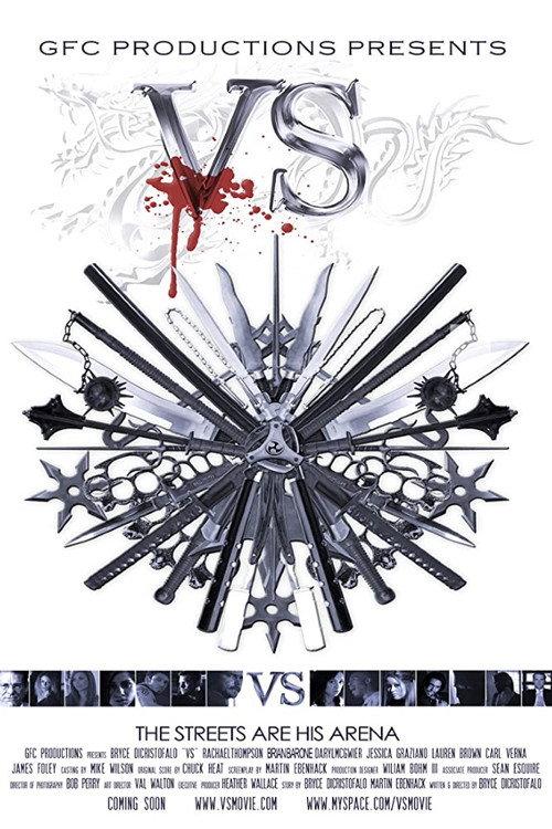 VS: The Movie 2011 official movie poster