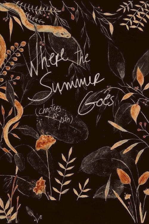 Where the Summer Goes (Chapters on Youth) 2018 official movie poster