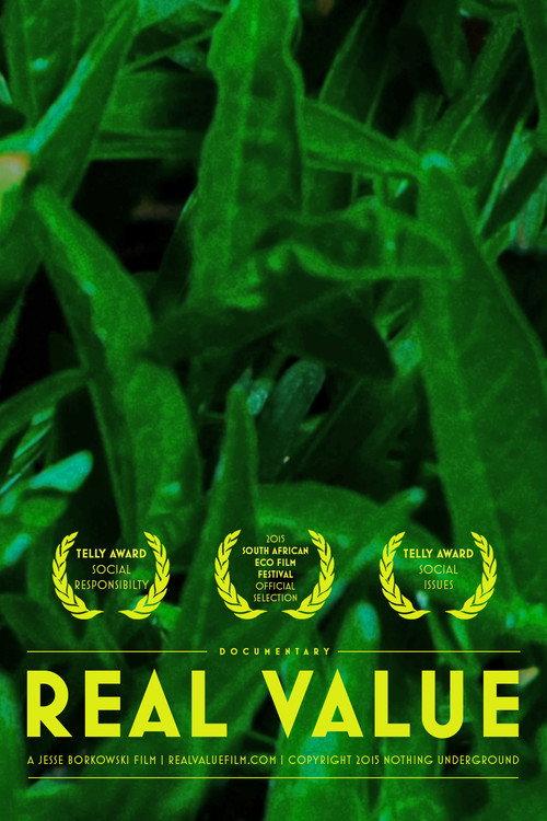 Real Value 2013 official movie poster